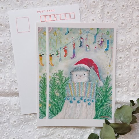 ポストカード 3枚 水彩画ハリネズミクリスマスカード