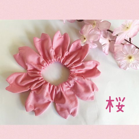 moriのお花スタイ🌸桜🌸