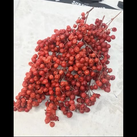 ペッパーベリーレッド小分け❣️ハンドメイド花材カラードライフラワー