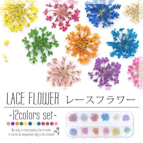 【レースフラワー　１２色セット】　ドライフラワー　押し花