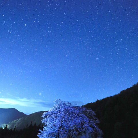 A4 写真　プリント　星