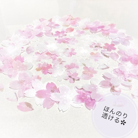 クラフトパンチ　ほんのり透ける　半透明　桜　さくら　花　アルバム　メッセージカード