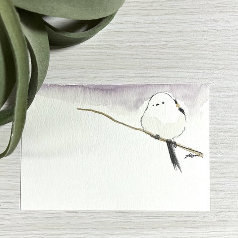 シマエナガの絵はがき【水彩画原画】