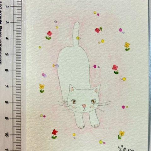 白い猫のイラスト（ミニサイズの原画）