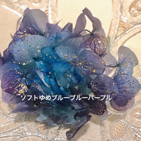 シフォン色❣️アジサイ小分け❣️ハーバリウム花材プリザーブドフラワー紫陽花