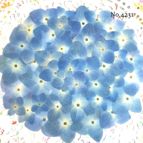 ♡new♡ 作家様必見♡可愛い紫陽花の押し花セット♡