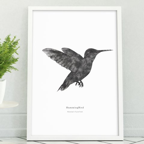 アートポスター/Hummingbird おしゃれインテリア・北欧、モノトーン好きの方に☆