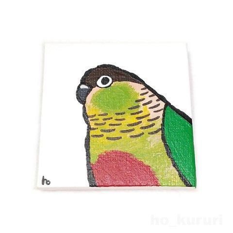 ウロコインコ ミニキャンバス 原画イラスト マグネット 5012