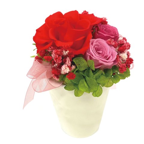 プリザ レッド プリザーブドフラワー バラ ローズ ギフト 花 贈り物 誕生日 お祝い 母の日 プリザ ピクチャー