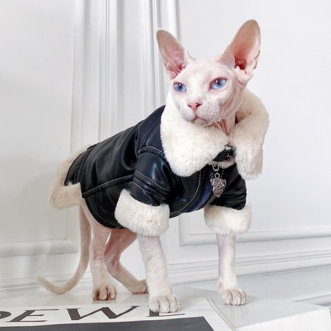 猫服 ペット服 ネコ 猫レザーライダースジャケット 革ジャンパー 厚手 防寒 冬 スフィンクス猫 すごく暖かい 格好いい