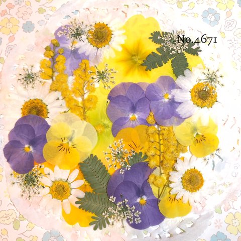 ♡new♡作家様必見♡押し花MIXセット♡押し花セット