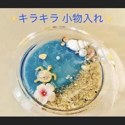 ✨浜辺のトレー✨小物入れ・プルメリア✨