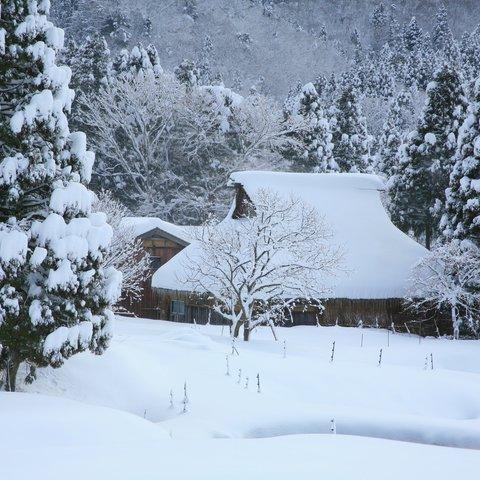 雪国の茅葺屋根