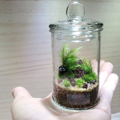 苔テラリウム　small moss world(小)　動物シリーズ