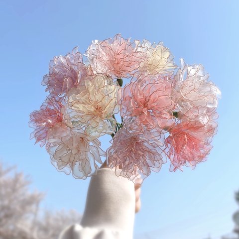 -咲き続ける花-カーネーション1本