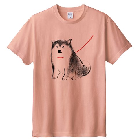 柴犬　 Tシャツ （ピンク）犬