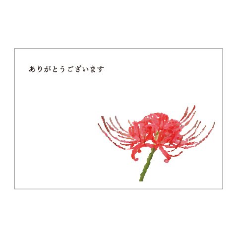 彼岸花の39card②