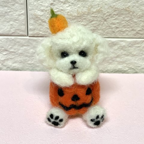 ハロウィンかぼちゃのプードルちゃん