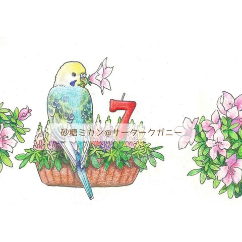 プチ似顔絵...セキセイインコ