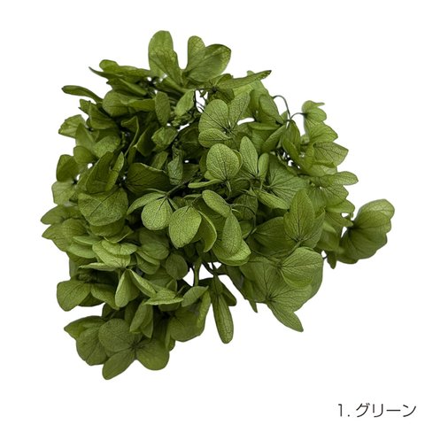 【即納】 ピラミッドアジサイグラバー 20g グリーン プリザーブドフラワー あじさい 紫陽花 花材 花 プリザーブド花材 ハンドメイド パーツ アクセサリー 資材 緑