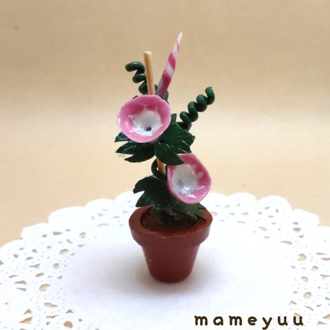 [第5段]　ミニチュア鉢植え　朝顔⑦