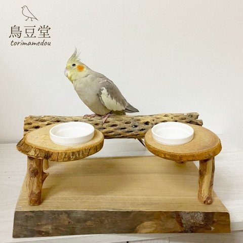 【展示用】カクタスパーチとカクタスのスタンドパーチ　インコ　鳥　とまり木　バードアスレチック　バードジム