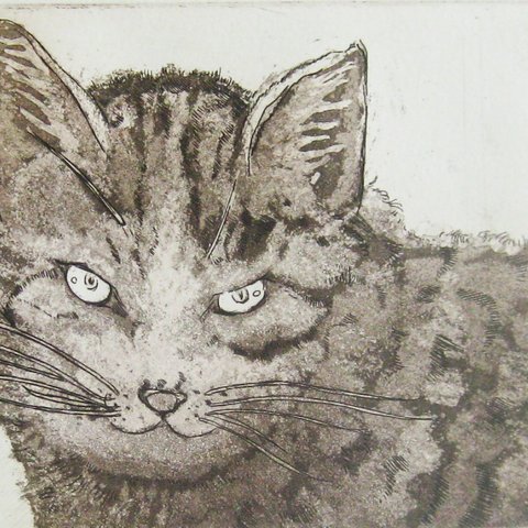 ネコさんの小さな銅版画シート　じっと見つめるトラ猫さん