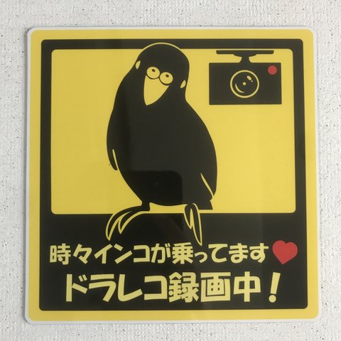 インコ乗ってますステッカー(ドライブレコーダー)