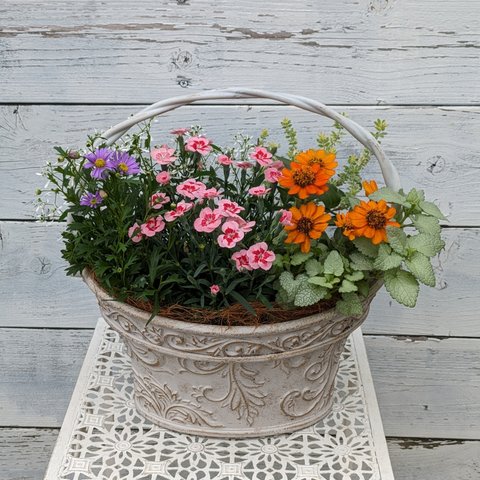 🏵️寄せ植えバスケット♡母の日ギフトにも