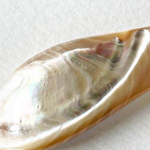 世界で最も美しい真珠層！一点物の高瀬貝のファーストマザーリップで作った、ペンダント【送料無料】紐フリーサイズ