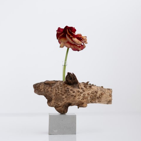 流木一輪挿し | driftwood flowervase | osakana no.6