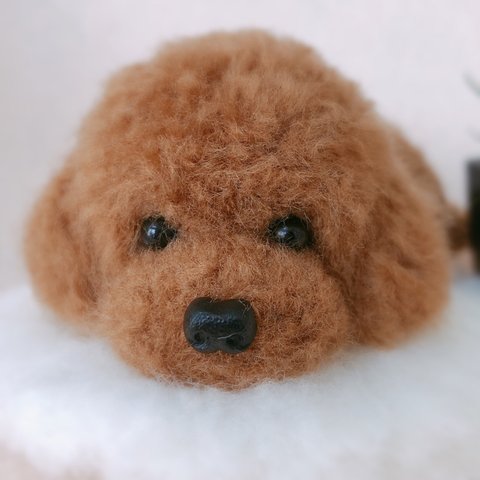 【ねむねむ❤︎*.(´͈꒳`͈).*❤︎プー】トイプードルミニチュア　ハンドメイド犬雑貨