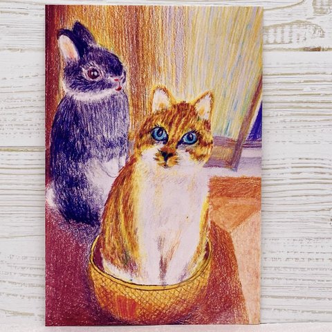 [かごのり猫とうさぎ]仲良しなふたり☺️同柄ポストカード3枚セット