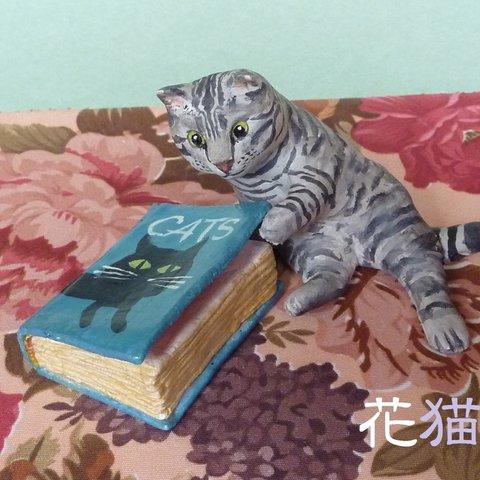 絵本を読むサバトラ猫