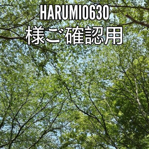 【harumi0630様ご確認ページです。】ズパゲッティ☆マルシェバッグ