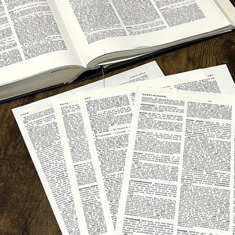 洋書切り離し･A4サイズの洋書辞書書籍･切り離し30枚セット コラージュ素材