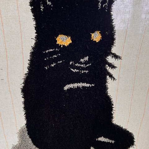 黒猫