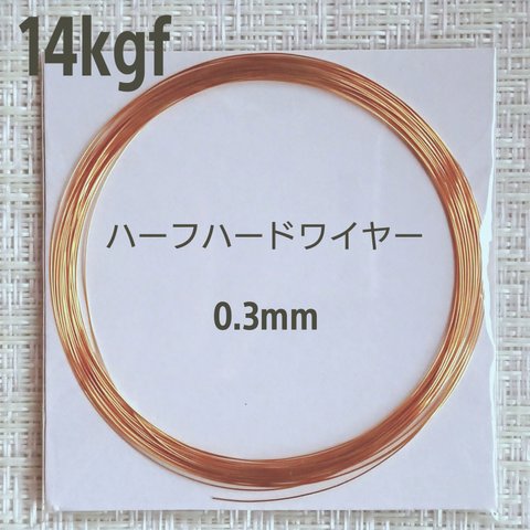 超特価　14kgf  ハーフハードワイヤー　0.3mm 5m