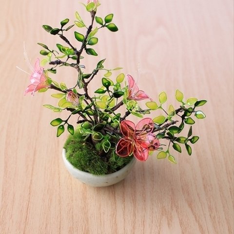 皐月 盆栽 BONSAI 和 鉢植え 日本 置物 飾り ツツジ 美濃焼 ギフト ディップアート ミニチュア 春