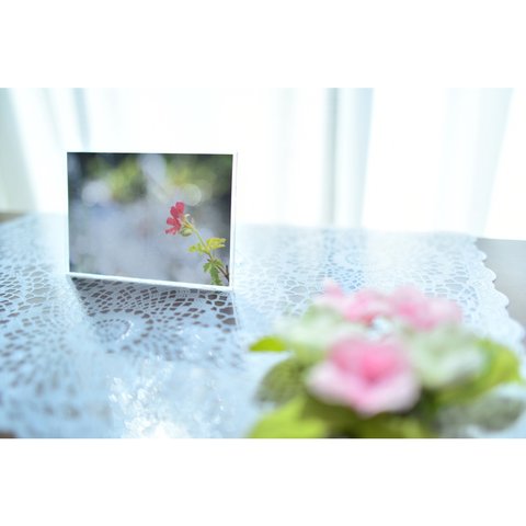 可愛い花の写真とフォトフレームセット
