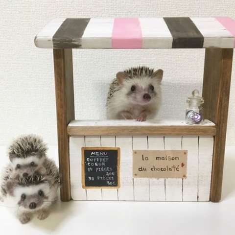 森の小さなお菓子屋さん いちごチョコ