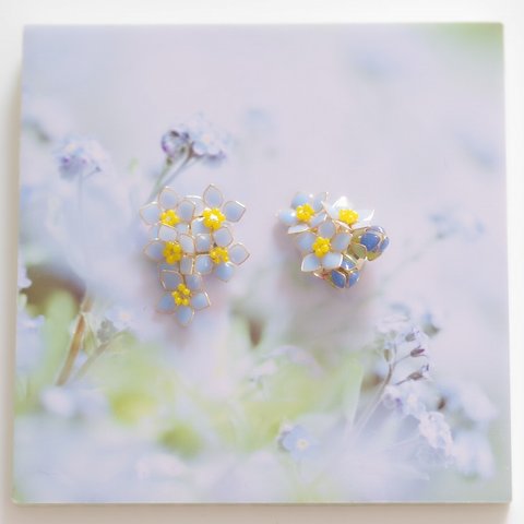 【勿忘草-Full*Bloom-】春を着飾るイヤリング※飾れるフォトパネル付！ 