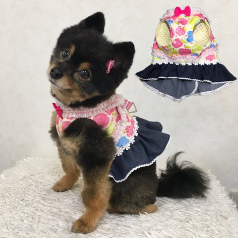 小型犬のワンピース型ハーネス！【アップルフラワー・アイボリー】   