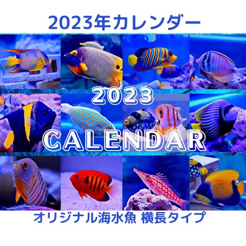 【早期特典あり】2023年オリジナル海水魚卓上カレンダー横長タイプ※早期注文いただくと残り月に応じてポストカードプレゼント、6月注文なら6枚のポストカードプレゼントいたします！+送料無料