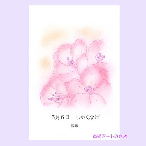 5月06日誕生花カード（花言葉つき）点描画