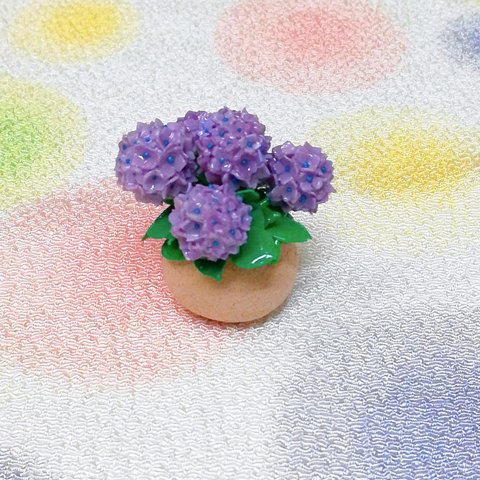 ミニチュア紫陽花