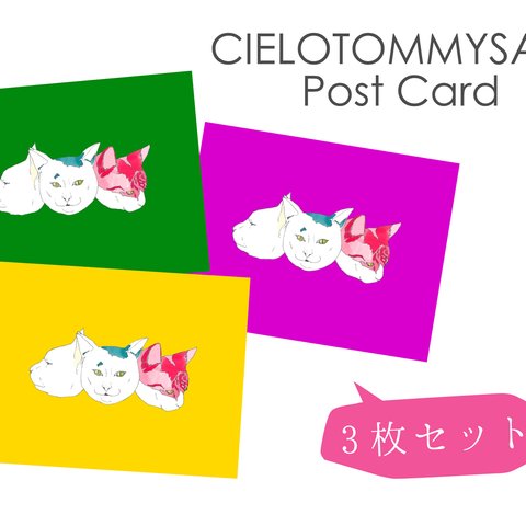 ポストカード3枚セット 猫イラスト "CIELOTOMMYSALA"