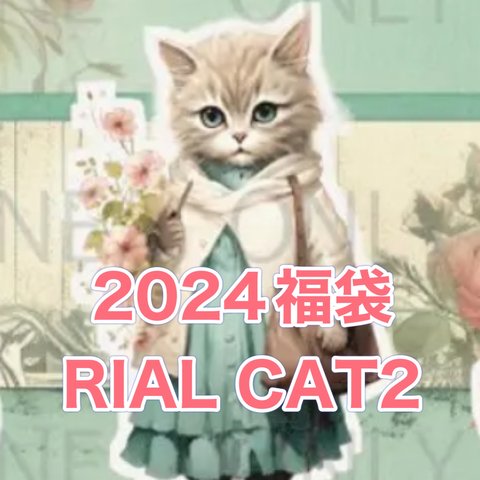 2024年　初売り福袋 　RIAL CAT 2 コラージュシート 5種