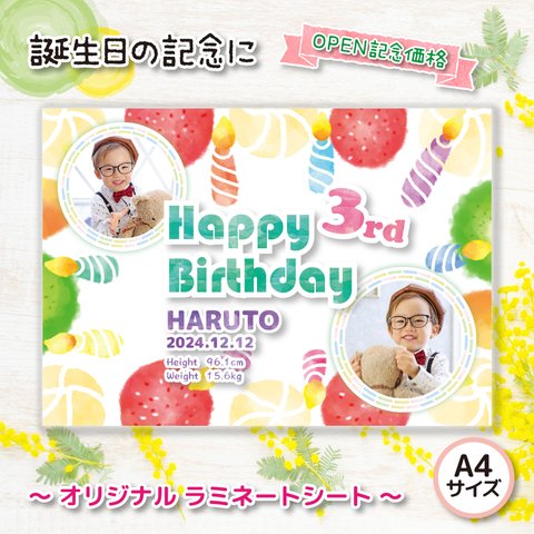 【OPEN記念価格（先着10名様限定）】Happy Birthday★けーき