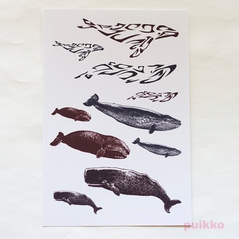 クジラ　タトゥーシール